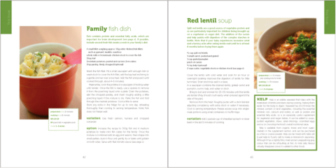 Feeding Little Tummies Cookbook - Digital PDF - Image 4